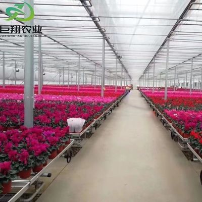 Aluminum Frame Glass Garden Greenhouse Victorian Commercial Greenhouse for Vegetables