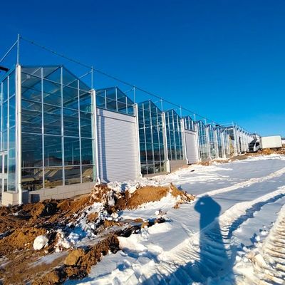 Float Glass Greenhouse for Growing Plants Package Size 50.00cm * 60.00cm * 80.00cm
