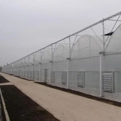 Hydroponics Irrigation System for Strawberry/Flowers/Vegetables Multi-Span Frame Steel Galvanized Plastic Greenhouse