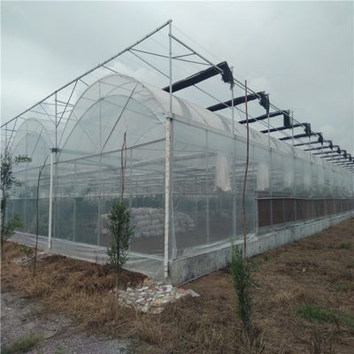 Hydroponics Irrigation System for Strawberry/Flowers/Vegetables Multi-Span Frame Steel Galvanized Plastic Greenhouse