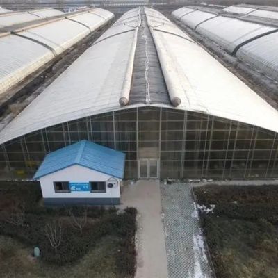 Hot-DIP Galvanized Steel Pipe Structure Multi-Span Greenhouse for Hydroponic System and Various Crops
