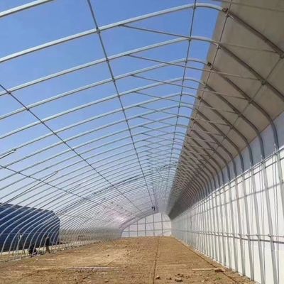 Hot-DIP Galvanized Steel Pipe Structure Multi-Span Greenhouse for Hydroponic System and Various Crops