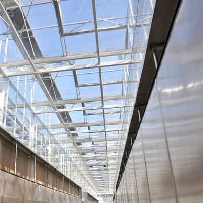 Sunlight Greenhouse Multispan Hydroponics Plastic Film Greenhouse for Commercial Farm