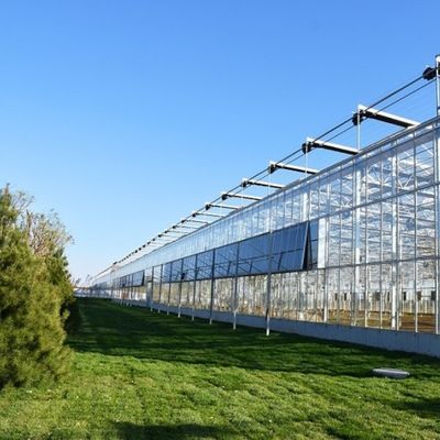Sunlight Greenhouse Multispan Hydroponics Plastic Film Greenhouse for Commercial Farm
