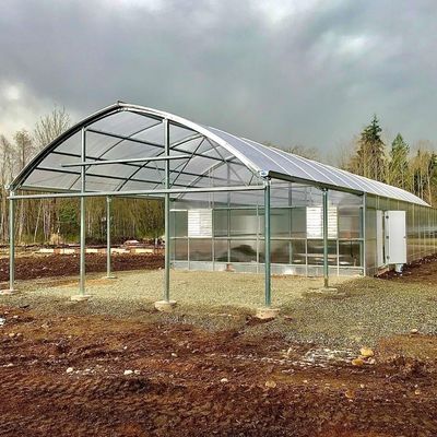 Multispan Hydroponics Plastic Film Agricultural Greenhouse for Commercial Farm Made
