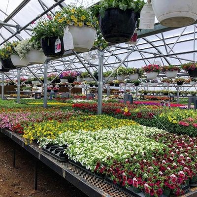 Multispan Hydroponics Plastic Film Agricultural Greenhouse for Commercial Farm Made