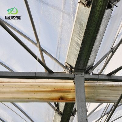 Arched Roof Multispan Hydroponics Plastic Film Agricultural Greenhouse for Commercial Farm