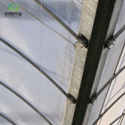 Arched Roof Multispan Hydroponics Plastic Film Agricultural Greenhouse for Commercial Farm