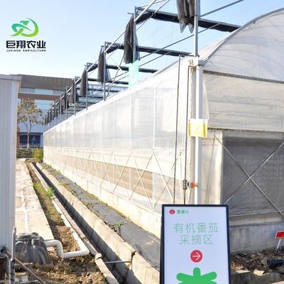 Arched Roof Multispan Hydroponics Plastic Film Agricultural Greenhouse for Commercial Farm
