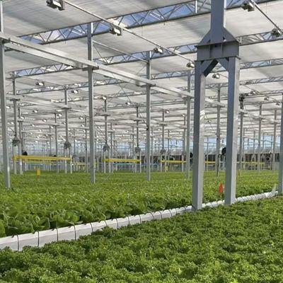 Large Glass Greenhouse Oasis Eco-Friendly Solution for Plant Cultivation Solutions