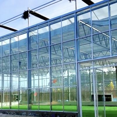 Greenhouse for Growing Vegetables and Flowers 50.00cm * 60.00cm * 80.00cm Package Size