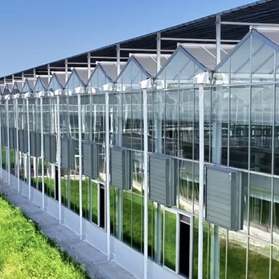 Greenhouse for Growing Vegetables and Flowers 50.00cm * 60.00cm * 80.00cm Package Size