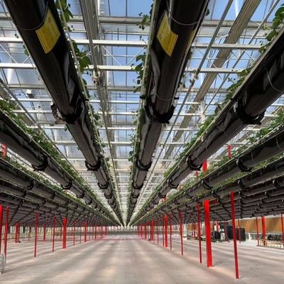 Building Materials Steel Structure Large Size Horticulture Greenhouse with Glass Roof