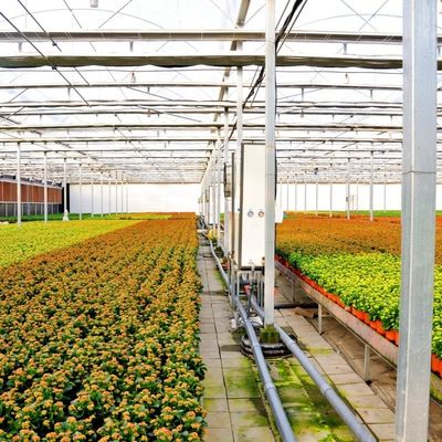Building Materials Steel Structure Large Size Horticulture Greenhouse with Glass Roof