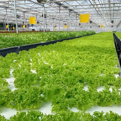 Vibrant Garden with Glass Greenhouse Affordable Shipping Cost and Greenhouse