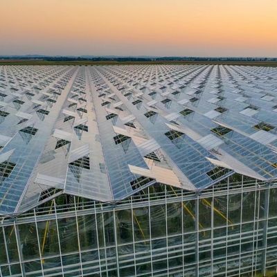 Double Layer Greenhouse Canopy with Good Light Transmission and Multi Span Function