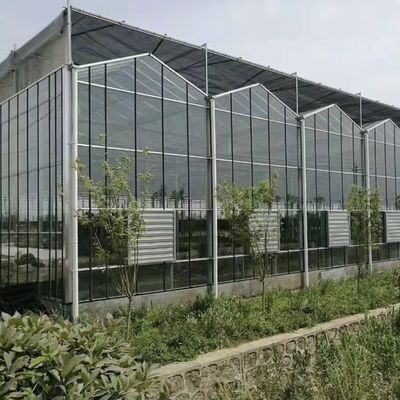 Double Layer Greenhouse Canopy with Good Light Transmission and Multi Span Function