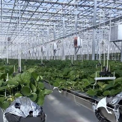 Double Layer Greenhouse Canopy with Good Light Transmission and Multi Span Function