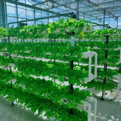 Double Layer Greenhouse Canopy with Good Light Transmission and Multi Span Function