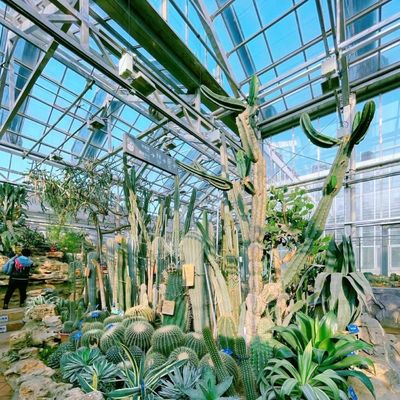 JX-A00133 Blossom Haven with Glass Greenhouse Shipping Cost and Estimated Delivery Time