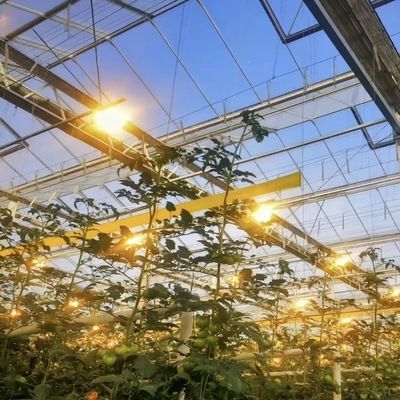 Competitive Initial Payment Greenhouse for Botanical Oasis Enclosure a Type Roof