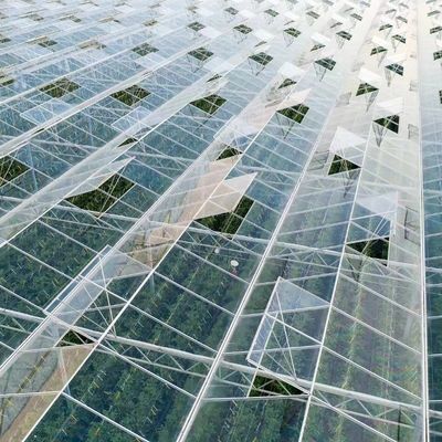 Competitive Initial Payment Greenhouse for Botanical Oasis Enclosure a Type Roof