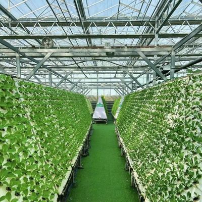 Competitive Initial Payment Greenhouse for Botanical Oasis Enclosure a Type Roof
