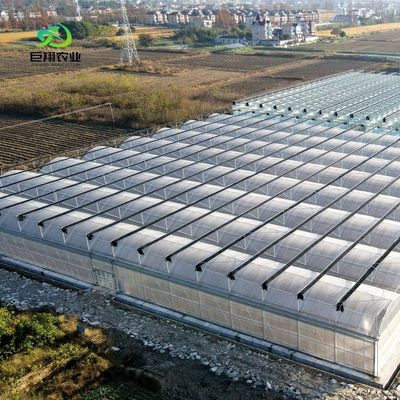 Multi-Span/Single Span Greenhouse for Tomato Strawberry Plastic Film/Glass/Polycarbonate