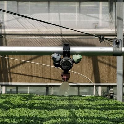 Package Size 50.00cm * 60.00cm * 80.00cm Glass Greenhouse for Flower Hydroponics