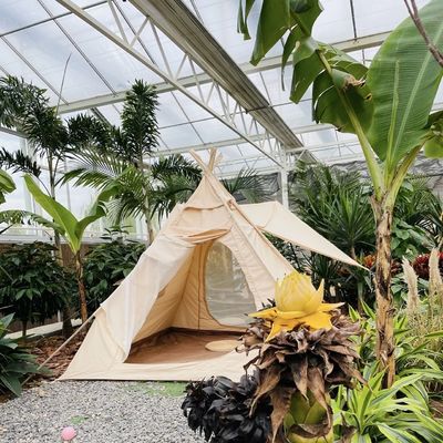 Transform Your Flower Growing Business with Single Layer Hydroponic Glass Greenhouse