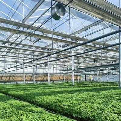 Shipping Cost Multi-System Glass Greenhouse for Flower Cultivation Estimated Delivery Time