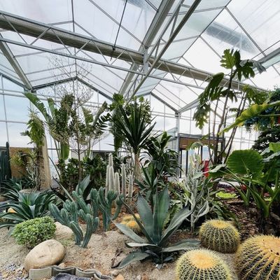 Hydroponic Flower System in Steel Structure Float Glass Greenhouse with Customization