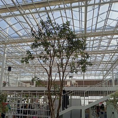 Commercial Greenhouse Customized a-Type Hydroponic for Flower Cultivation and Farming