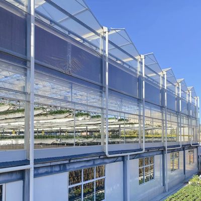Commercial Greenhouse Customized a-Type Hydroponic for Flower Cultivation and Farming