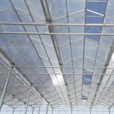 Double Layer Affordable Glass Greenhouse US 20/Square Meter Hydroponic Flower System