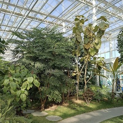 Glass Greenhouse for Flower Cultivation Package Gross Weight 100.000kg and a Type Roof