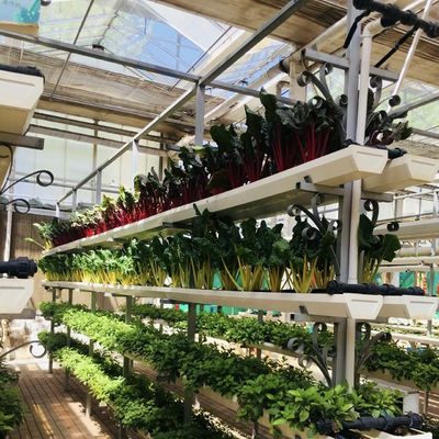 Glass Greenhouse for Flower Cultivation Package Gross Weight 100.000kg and a Type Roof