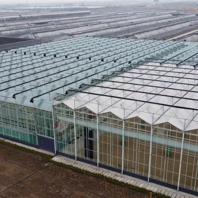 Single Layer Glass Greenhouse for Flower Cultivation A Type Roof Glass Covered Glass Roof