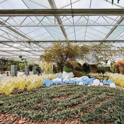 Steel Structure Chinese Origin Hydroponic Glass Greenhouse for Building Materials