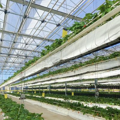 Steel Structure Chinese Origin Hydroponic Glass Greenhouse for Building Materials
