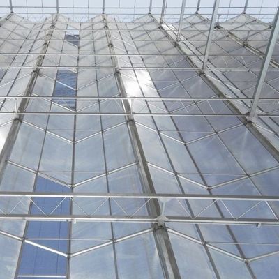 Glass Roof Greenhouse for Flower Growing Initial Payment and Affordable Shipping Cost
