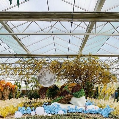 Single Layer Glass Greenhouse for Vegetable Farming Enhance Your Farming Efficiency
