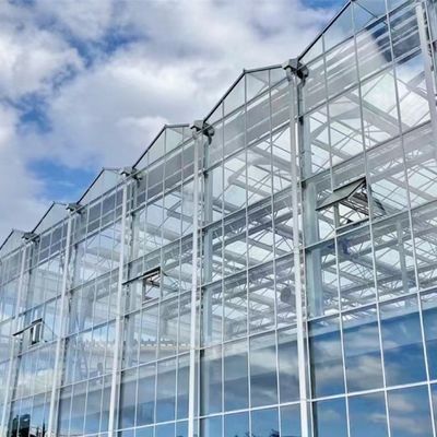 Single Layer Glass Greenhouse for Vegetable Farming Enhance Your Farming Efficiency