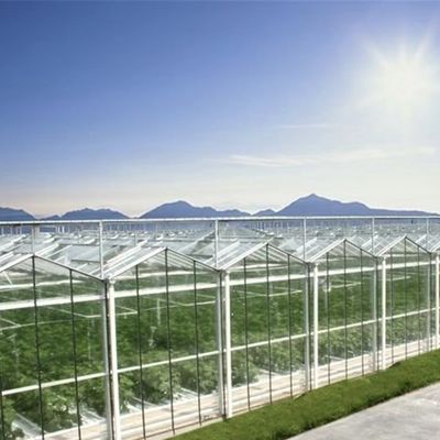Reasonably Priced Glass Greenhouse for Vegetable Farming and Affordability Guaranteed