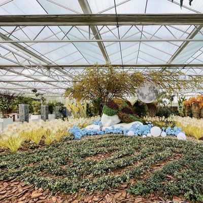 Reasonably Priced Glass Greenhouse for Vegetable Farming and Affordability Guaranteed
