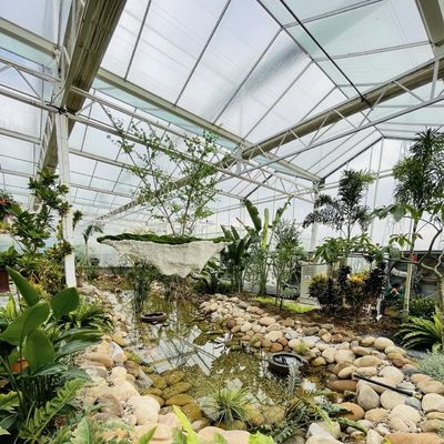 Float Glass Greenhouse for Vegetables Multi Span Design Customized Request Accepted