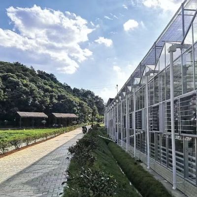 Float Glass Greenhouse for Vegetables Multi Span Design Customized Request Accepted