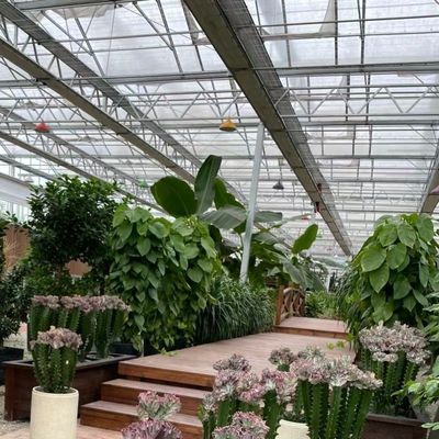 Large Shading Screen Glass Greenhouse Hydroponic System for Optimal Crop Cultivation