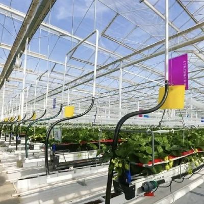 Large Shading Screen Glass Greenhouse Hydroponic System for Optimal Crop Cultivation