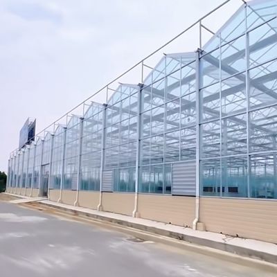 Large Shading Screen Glass Greenhouse Hydroponic System for Optimal Crop Cultivation